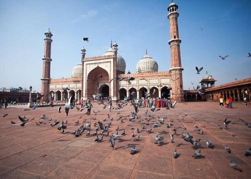 Private Old & New Delhi Top Highlights Sightseeing Tour – 8 Hours